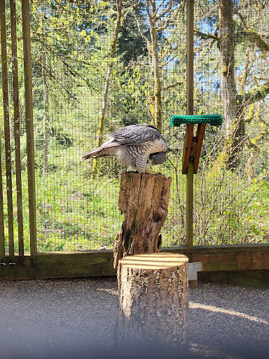 Nature Preserve «Cascades Raptor Center», reviews and photos, 32275 Fox Hollow Rd, Eugene, OR 97405, USA