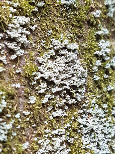 Park «Bechtel Park», reviews and photos, Naamans Rd, Claymont, DE 19703, USA