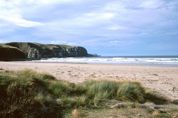 Jacks Bay Beach'in fotoğrafı geniş ile birlikte