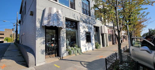 Aurum Precious Gems & Metals, 487 Elmwood Ave, Buffalo, NY 14222, USA, 