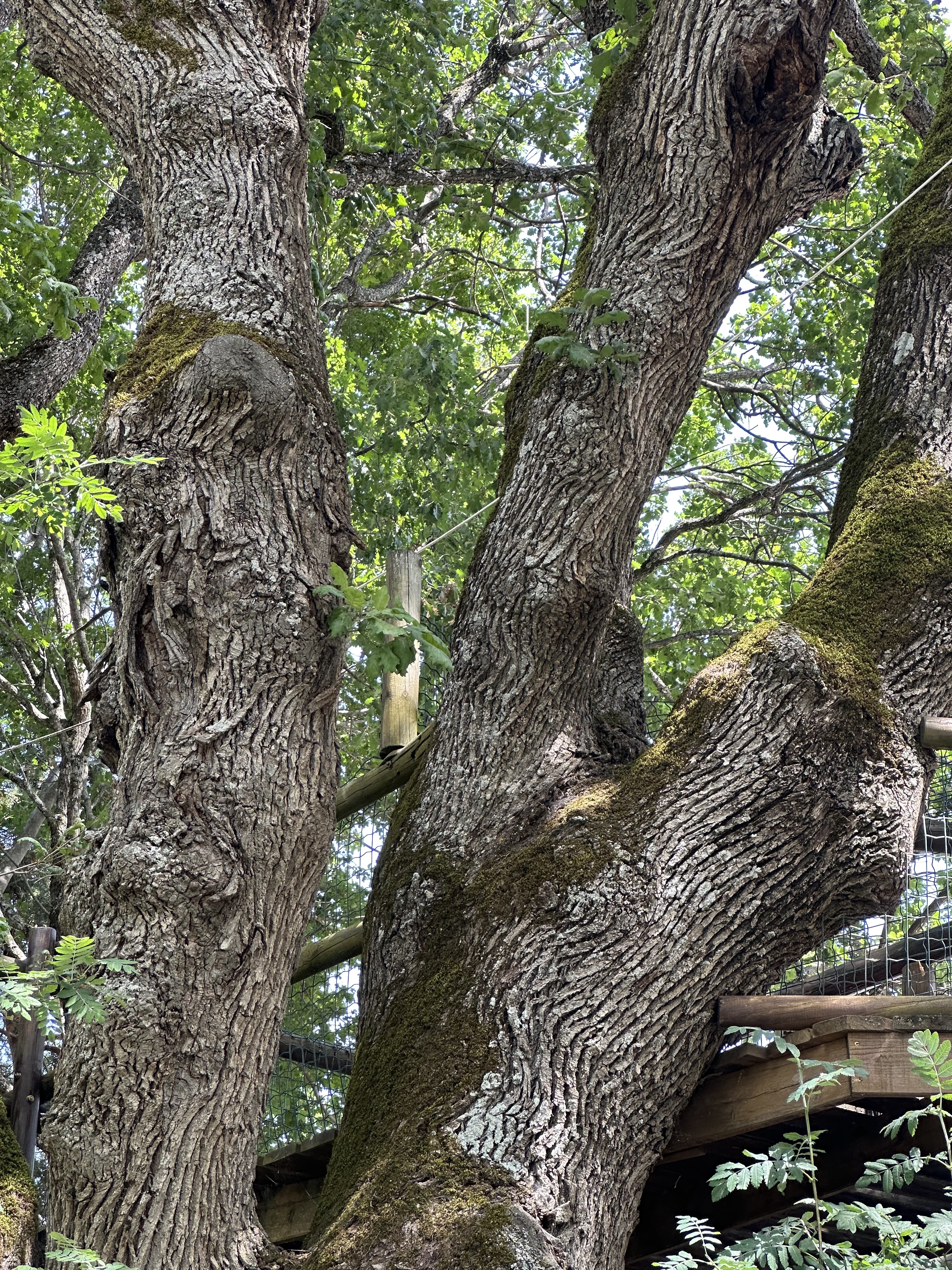Photo n° 3 de l'avis de Christophe.A fait le 12/07/2023 à 12:01
