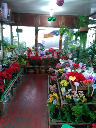 Floricultura Vila das Flores