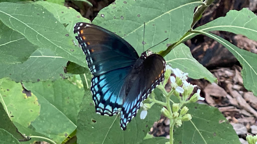 National Park «Stones River National Battlefield», reviews and photos, 3501 Old Nashville Hwy, Murfreesboro, TN 37129, USA