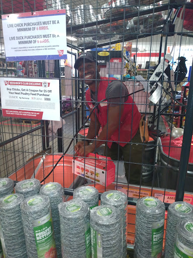 Home Improvement Store «Tractor Supply Co.», reviews and photos, 3239 Harrison St, Batesville, AR 72501, USA