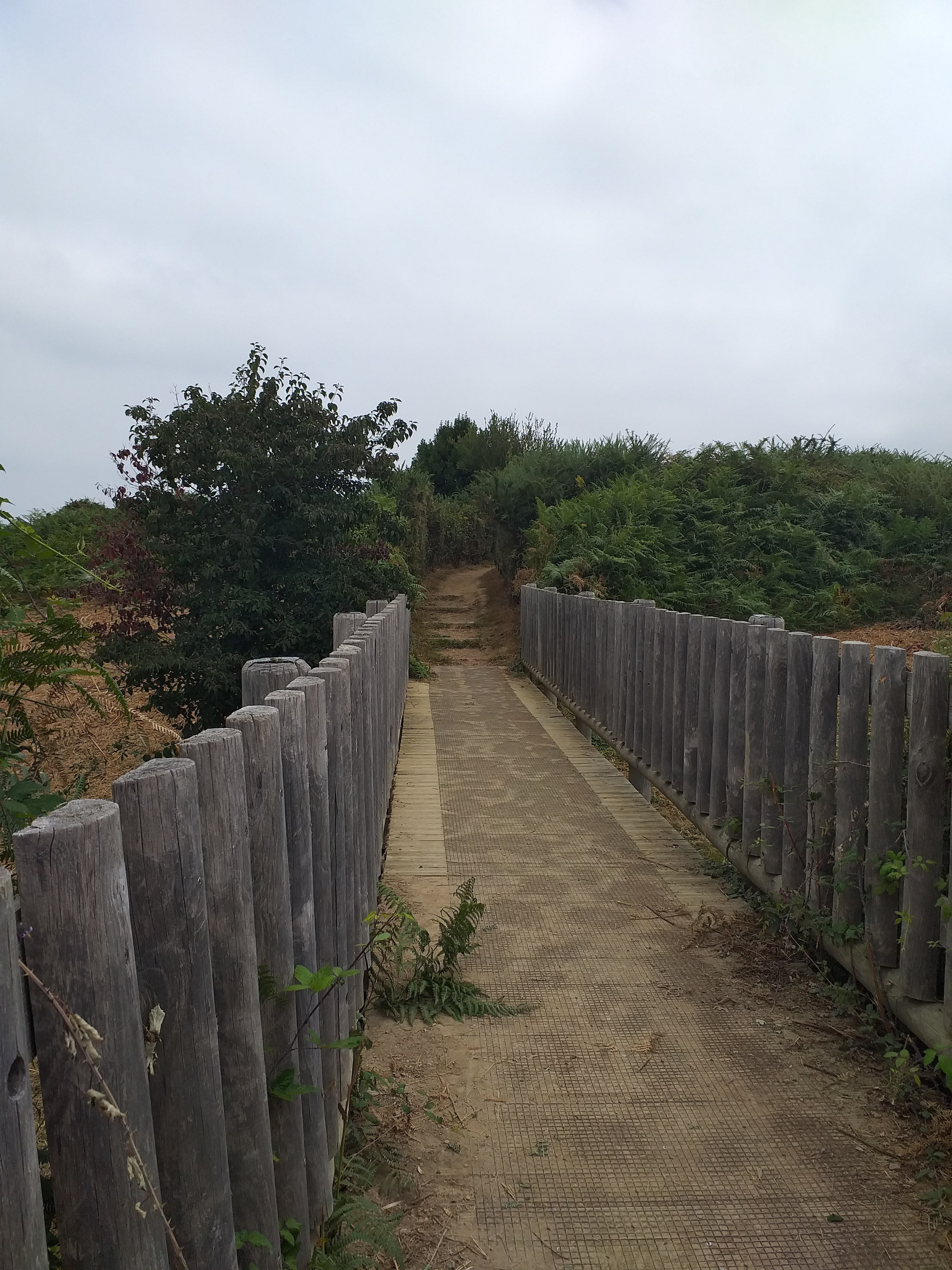 Photo n° 3 de l'avis de Isabel.e fait le 12/08/2022 à 13:40