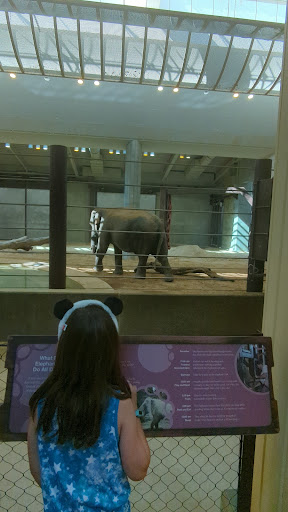 Tourist Attraction «Elephant Trails», reviews and photos, 3001 Connecticut Ave NW, Washington, DC 20008, USA