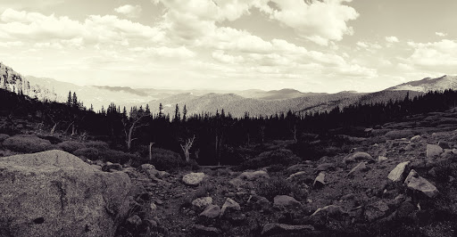 Nature Preserve «Mount Goliath Natural Area», reviews and photos, Mt Evans Rd, Evergreen, CO 80439, USA
