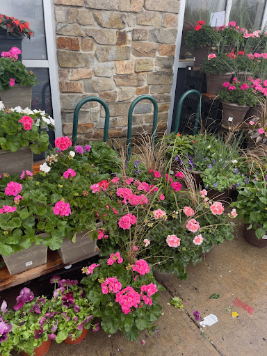 Grocery Store «Whole Foods Market», reviews and photos, 2245 Springfield Ave, Vauxhall, NJ 07088, USA