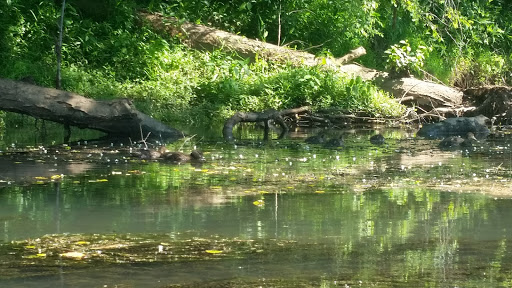 Chattahoochee River NRA--Johnson Ferry South Unit