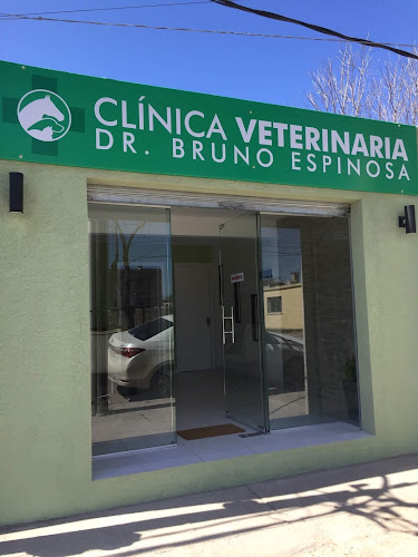 Clinica Veterinaria Dr. Bruno Espinosa - Veterinario