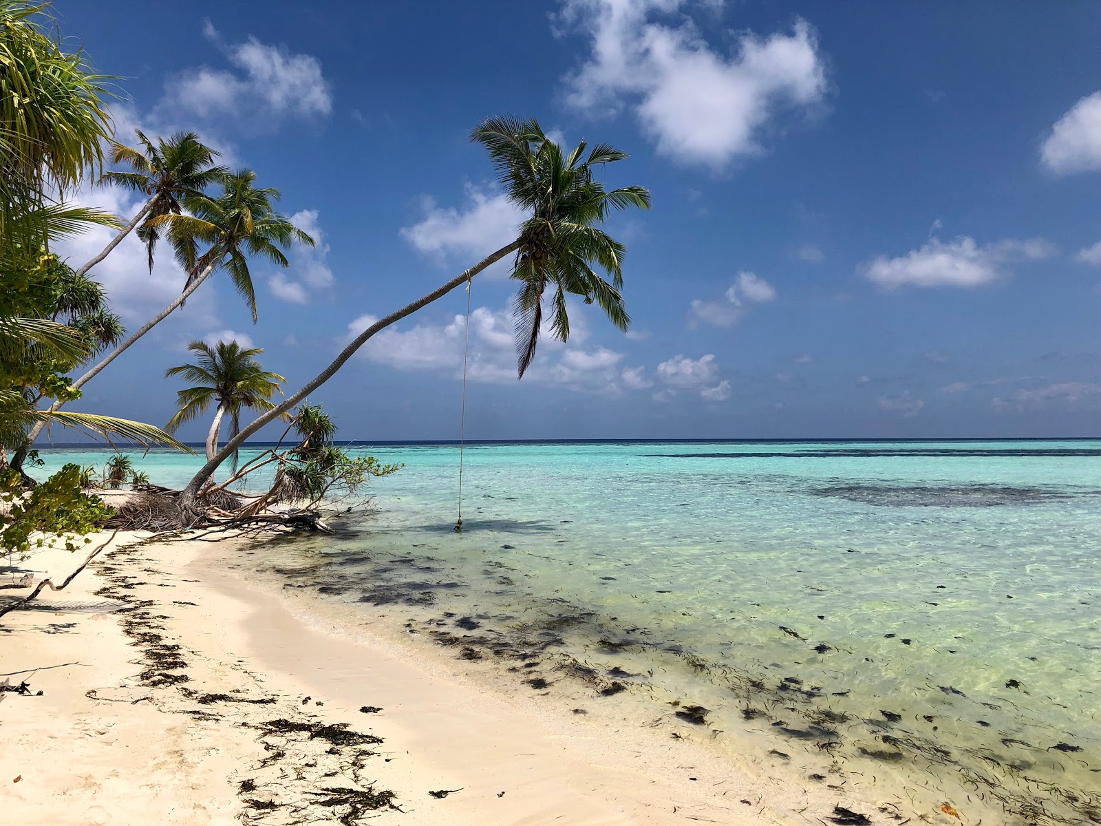 Dhangethi Beach'in fotoğrafı - rahatlamayı sevenler arasında popüler bir yer