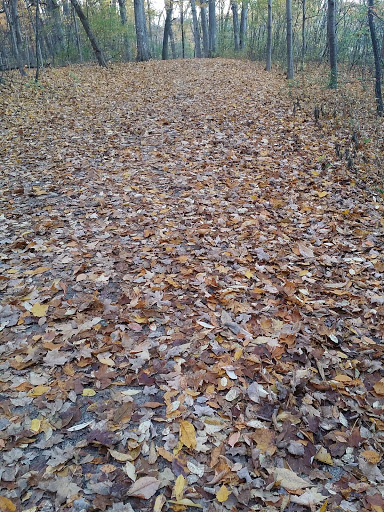 Nature Preserve «Meacham Forest Preserve», reviews and photos, Circle Ave, Bloomingdale, IL 60108, USA