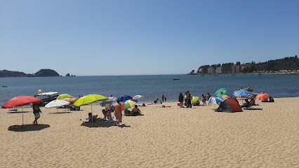 Playa Dichato