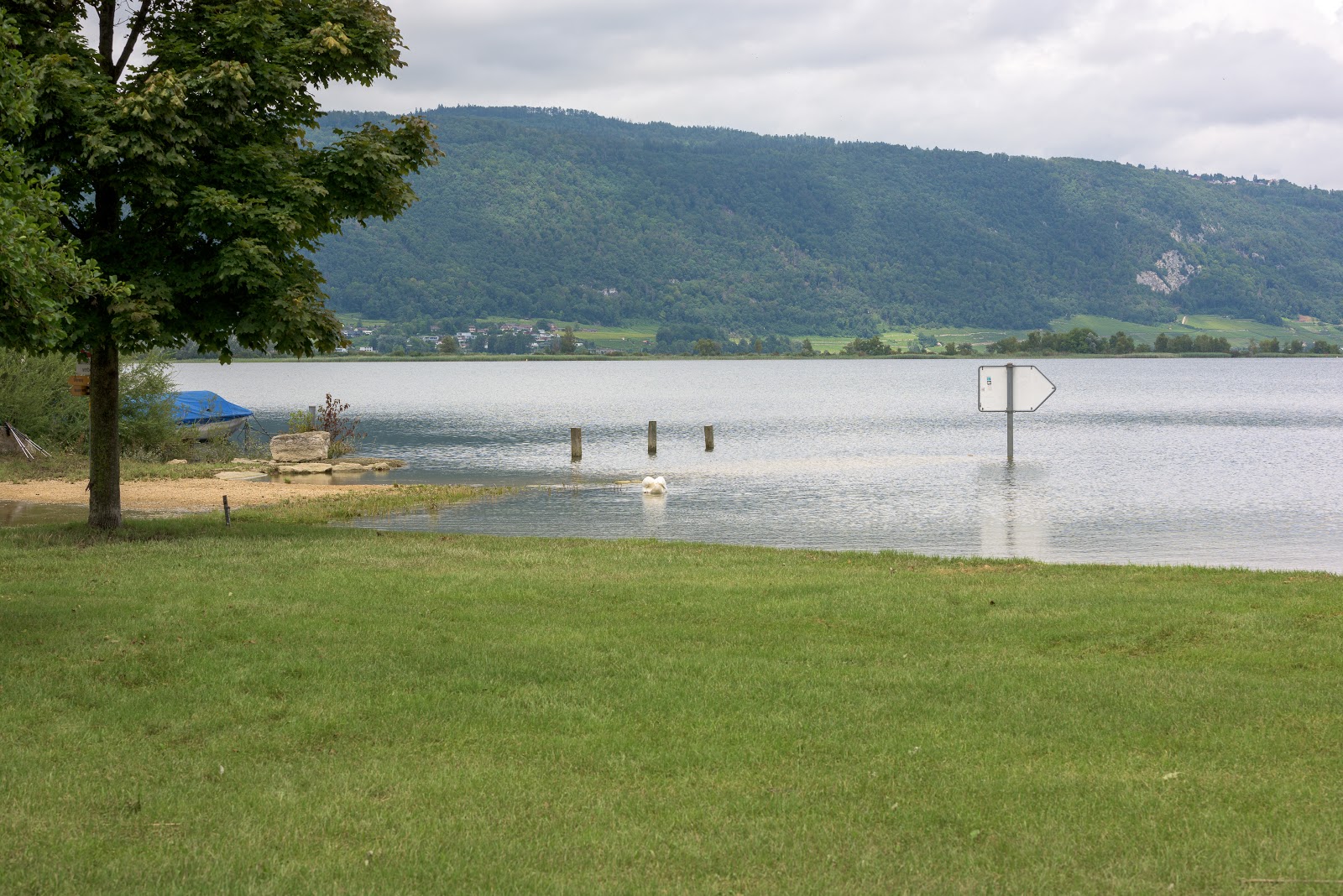 Vinelz Strand photo #7