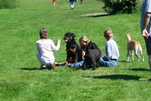 Hundefreilauf Bredstedt image