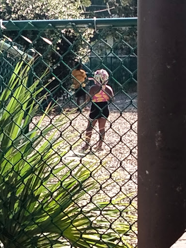 Auditorium «Oak Street Park Community Center», reviews and photos, 717 N Palm Ave, Kissimmee, FL 34741, USA