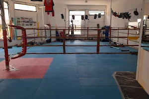 KickboxingAgualvagym image