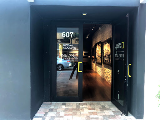 Art Gallery «National Geographic | Fine Art Galleries», reviews and photos, 607 E Las Olas Blvd, Fort Lauderdale, FL 33301, USA
