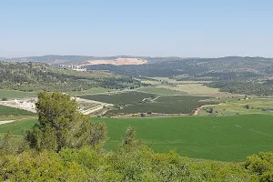 Valley of Elah (Terebinths) image