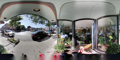 Florist «Halsted Flowers, LLC», reviews and photos, 2725 N Halsted St, Chicago, IL 60614, USA