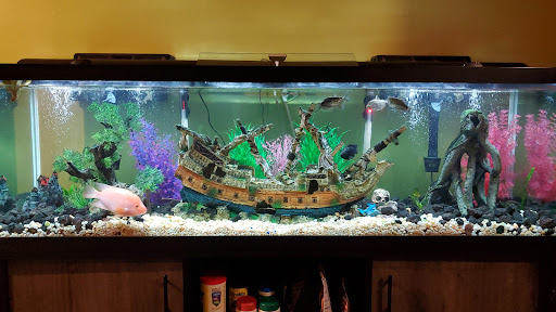 Pet Supply Store «Pickering Valley Feed & Farm Store», reviews and photos, 305 Gordon Dr, Exton, PA 19341, USA