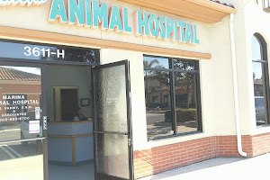 Marina Animal Hospital