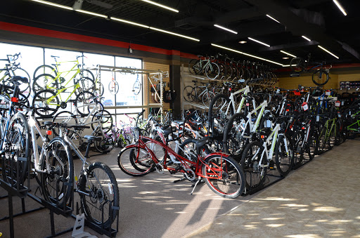 Bicycle Store «BOI Bicycle Outfitters Indy», reviews and photos, 1309 South High School Road, Indianapolis, IN 46241, USA