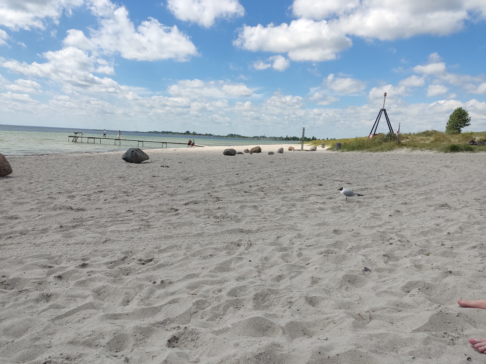 Foto de Brondby Beach con arena beige superficie