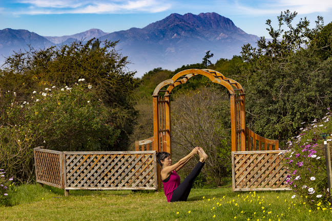 Opiniones de Retiros de Yoga Shodana en Quillota - Centro de yoga