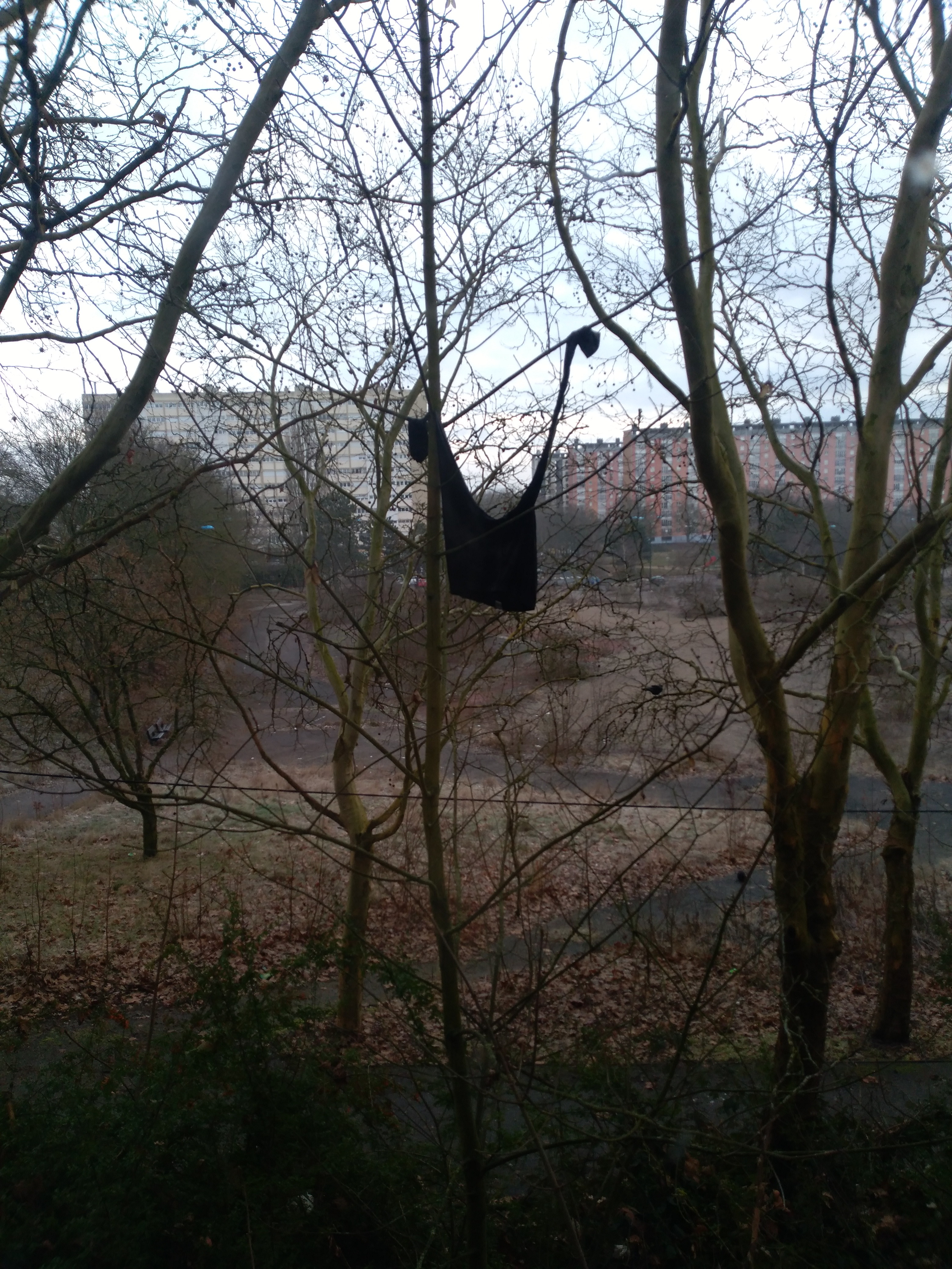 Photo n° 1 de l'avis de Carole.e fait le 12/02/2019 à 20:14