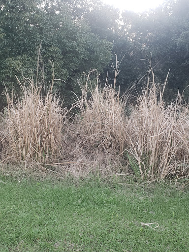 Park «Sanlando Park», reviews and photos, 401 W Highland St, Altamonte Springs, FL 32714, USA