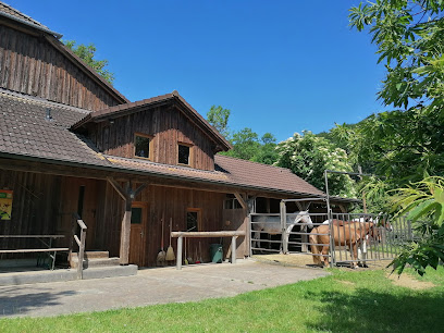 Pferdeeinstellplätze Biohof Appenzeller - Öko-Offenstall