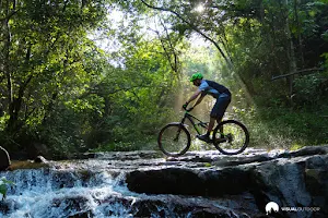 Giba Gorge Mountain Bike Park image