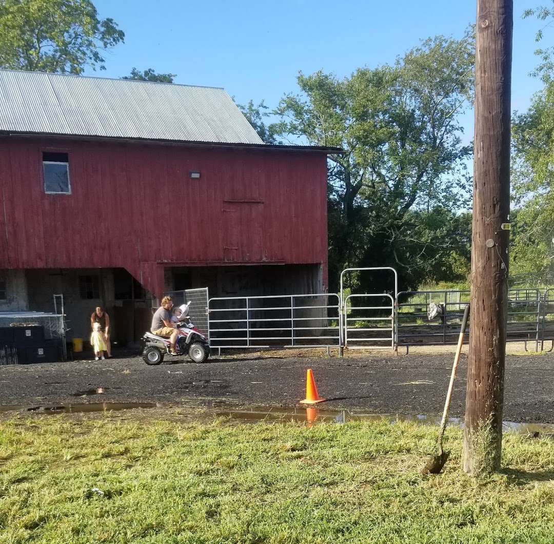 Posies Pastures & Equestrian Academy