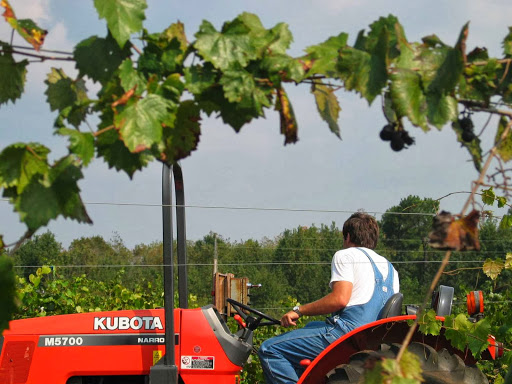 Vineyard «Morgan Creek Vineyards», reviews and photos, 181 Morgan Creek Ln, Harpersville, AL 35078, USA