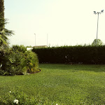 Photo n°4 de l'avis de Zoltànné.o fait le 28/07/2019 à 19:36 sur le  Omnia Hotel à Noventa di Piave