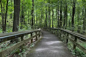 The Trails at Cowenton Ridge Park image