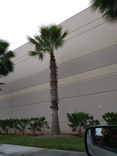 Pet Store «Phillips Feed & Pet Supplies», reviews and photos, 4350 Amberjack Blvd, Plant City, FL 33566, USA