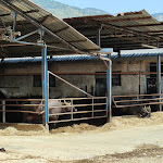 Photo n°4 de l'avis de Gianni. fait le 17/08/2022 à 14:41 sur le  Agriturismo La Fattoria di Carlotta, ristorante e camere à Maenza