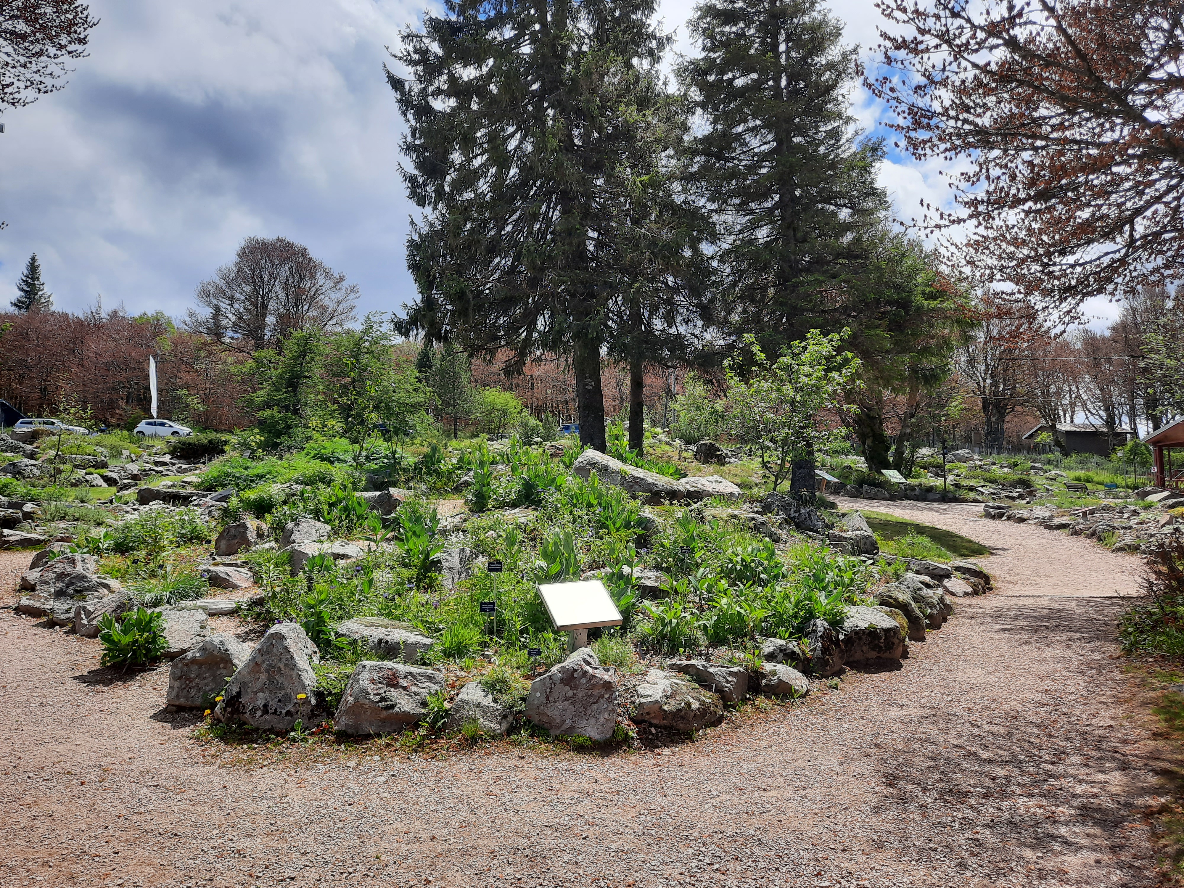 Photo n° 21 de l'avis de Victoria.e fait le 22/06/2020 à 21:37