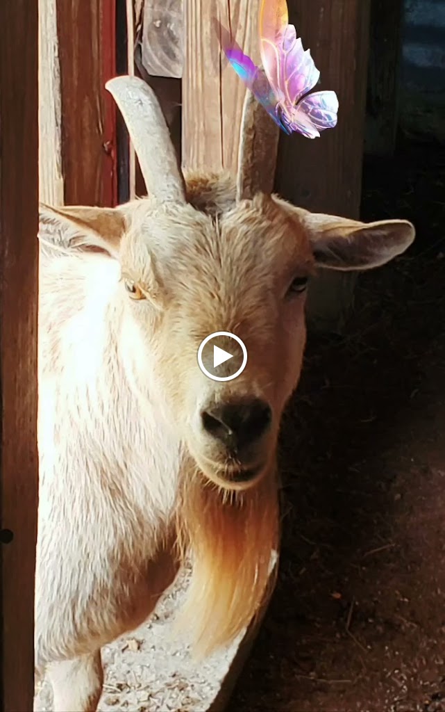 Cajun Corral FarmGreater New Orleans Farm Pearl River, LA 70452