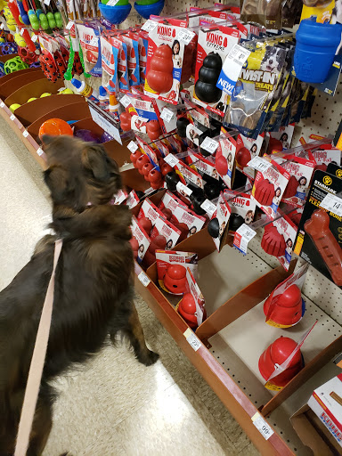 Pet Supply Store «PetSmart», reviews and photos, 4810 1st Ave NE, Cedar Rapids, IA 52402, USA