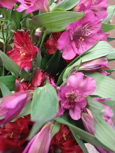 Florist «Grace Harper Florist, Inc.», reviews and photos, 4135 Woodward Ave, Detroit, MI 48201, USA