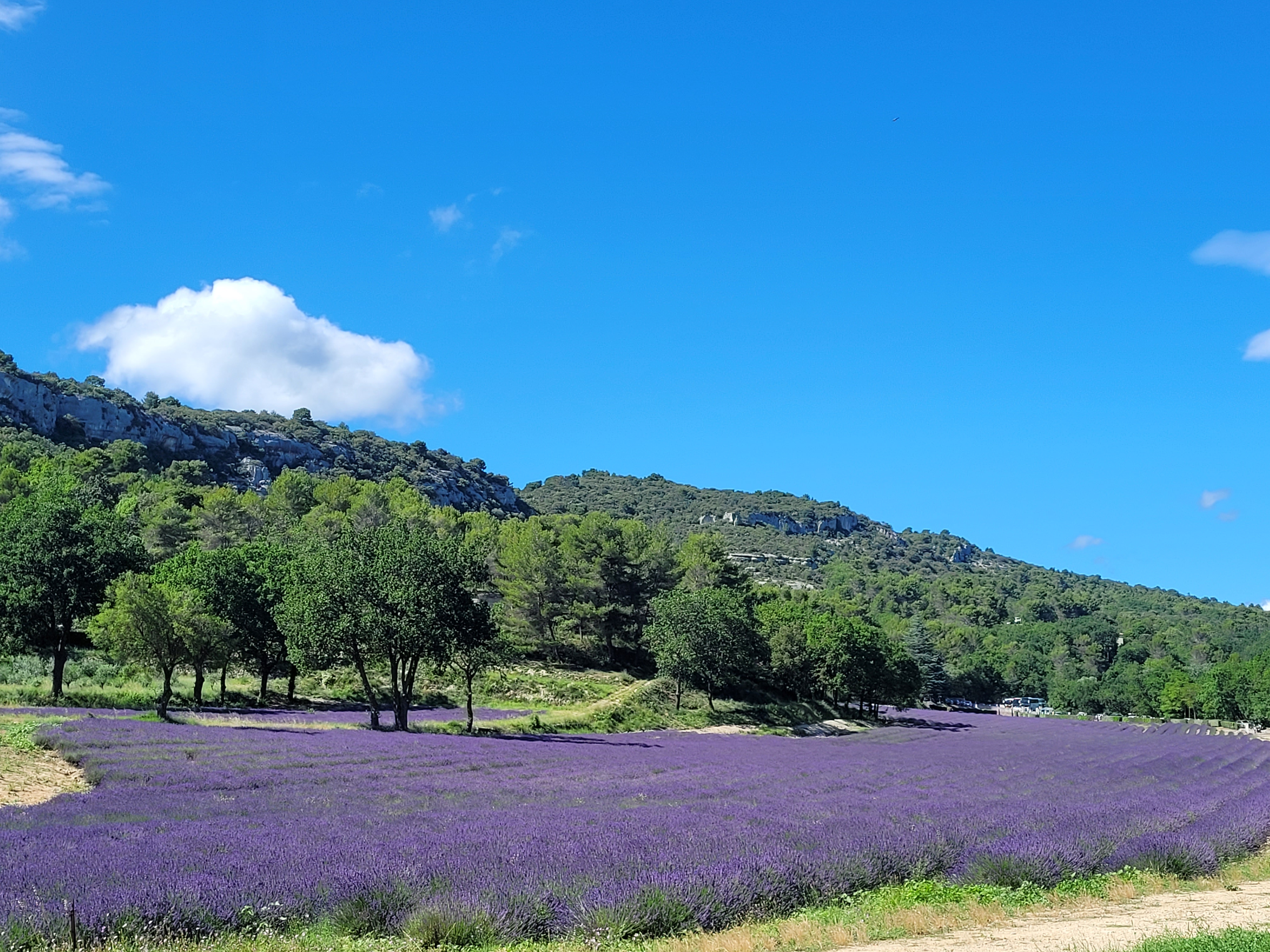 Photo n° 5 de l'avis de Olga.e fait le 07/07/2023 à 14:21