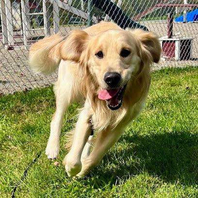 Tall Tails Training & Boarding