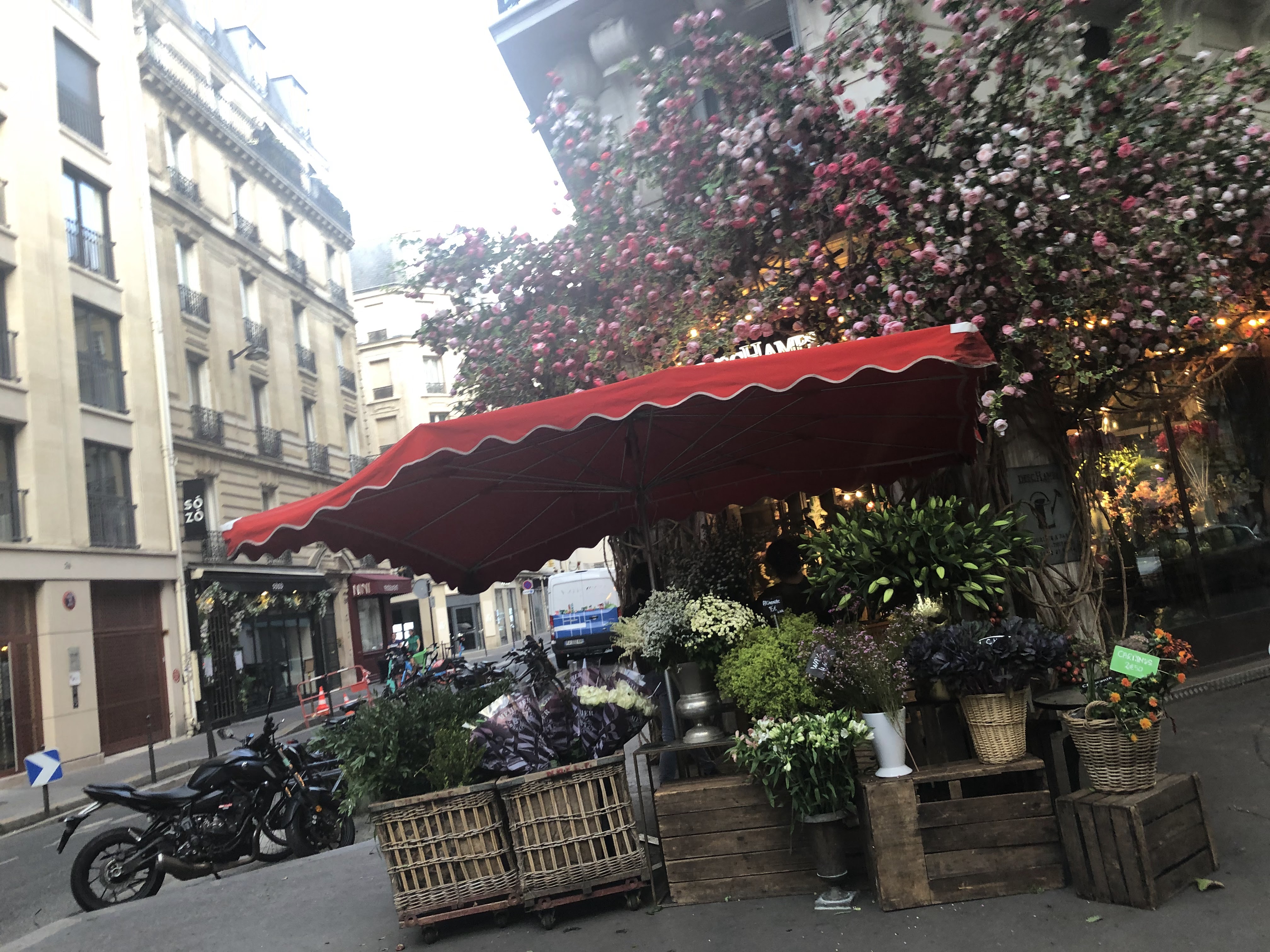 Photo n° 16 de l'avis de Mia.e fait le 03/09/2022 à 17:42