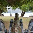 The Britomart Cannon
