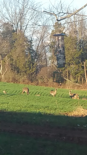 Public Golf Course «Valley Green Golf Course», reviews and photos, 1227 Valley Green Rd, Goldsboro, PA 17319, USA