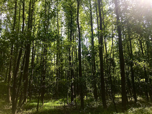 Public Golf Course «Mercer Oaks Golf Course», reviews and photos, 725 Village Rd W, West Windsor Township, NJ 08550, USA