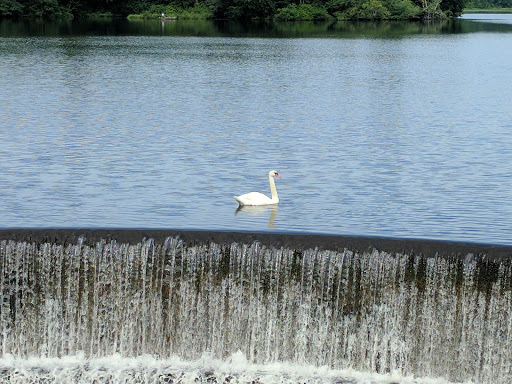 State Park «Parvin State Park», reviews and photos, 701 Almond Rd, Pittsgrove Township, NJ 08318, USA